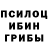 Галлюциногенные грибы Cubensis yevgenyie@gmail.com