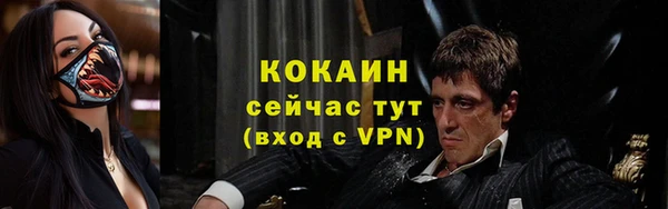 гидропоника Кодинск