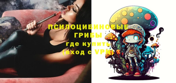 кристаллы Козловка