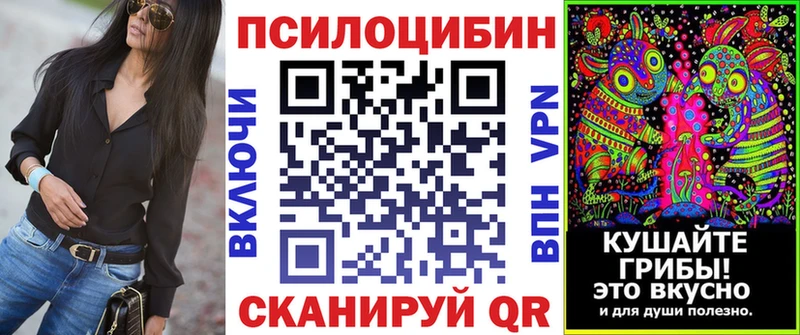 Купить закладки  Волосово  Галлюциногенные грибы прущие грибы 